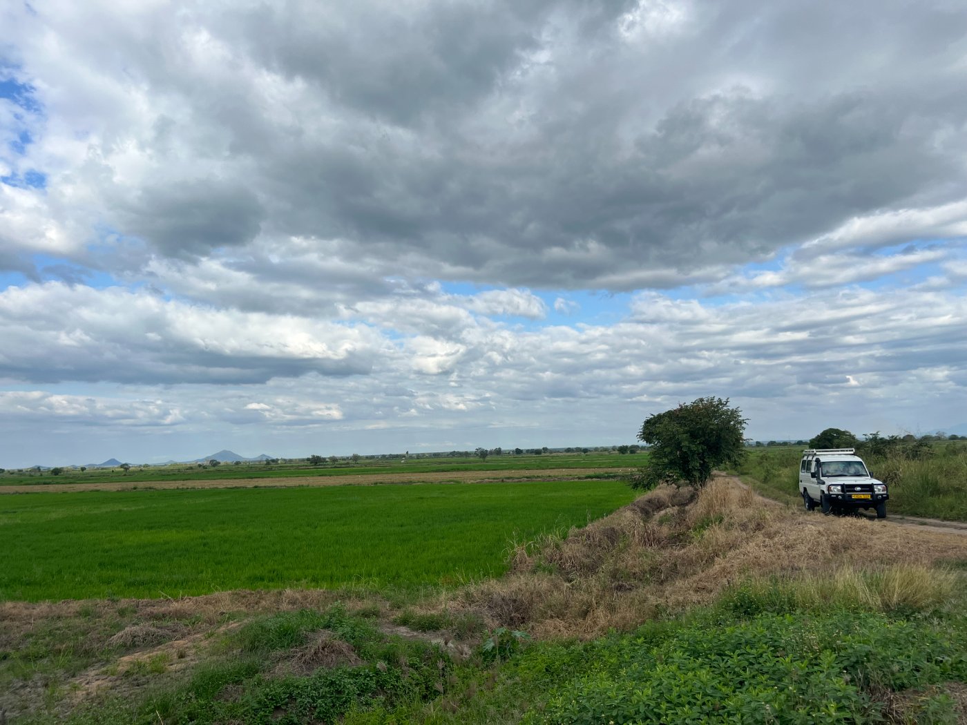 Field photo 2