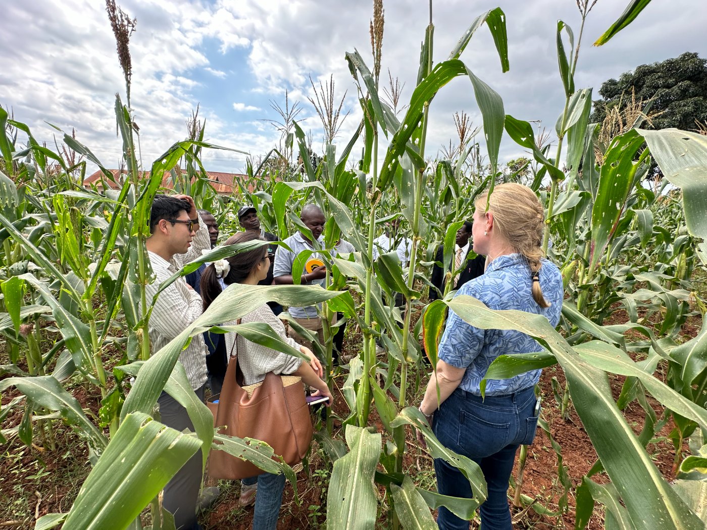 Field photo 3